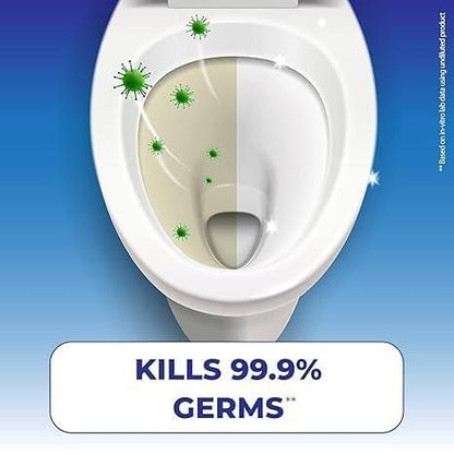 Powerful Toilet Cleaning Powder – Removes Stains & Odor (500g)