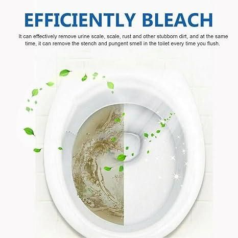 Powerful Toilet Cleaning Powder – Removes Stains & Odor (500g)